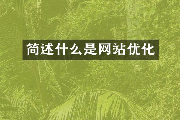 简述什么是网站优化