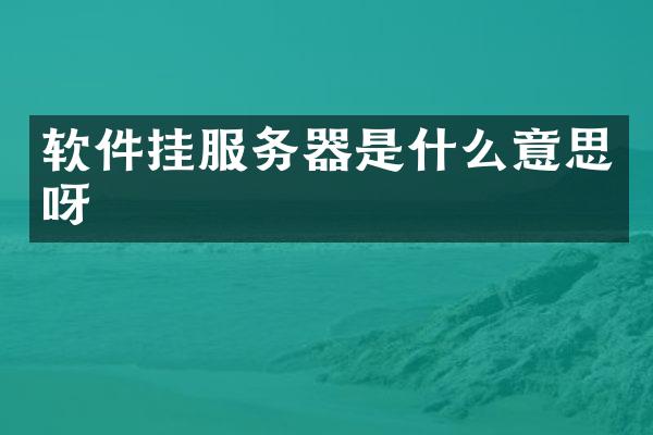 软件挂服务器是什么意思呀