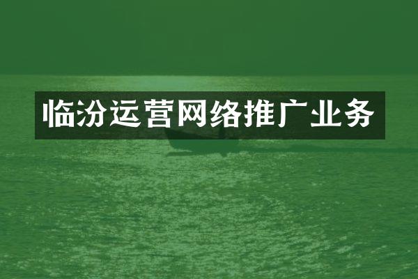临汾运营网络推广业务