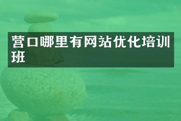 营口哪里有网站优化培训班