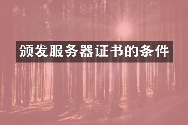 颁发服务器证书的条件