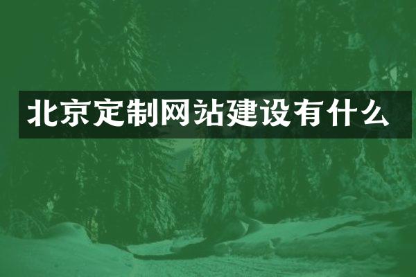北京定制网站建设有什么