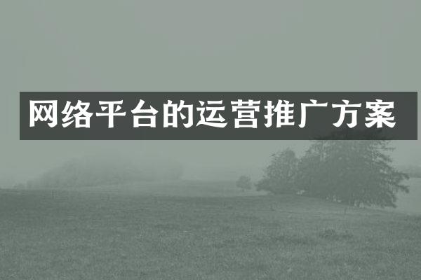 网络平台的运营推广方案