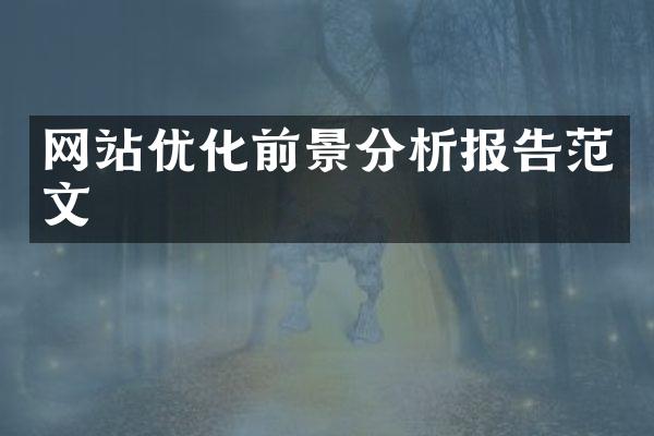 网站优化前景分析报告范文