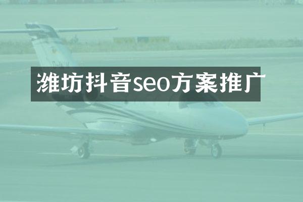 潍坊抖音seo方案推广