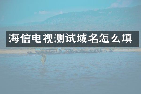 海信电视测试域名怎么填