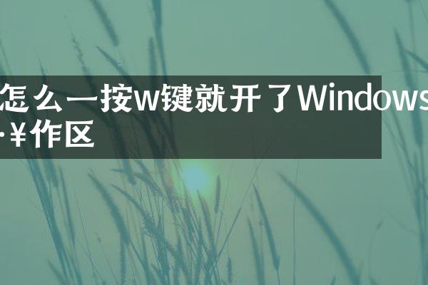怎么一按w键就开了Windows工作区
