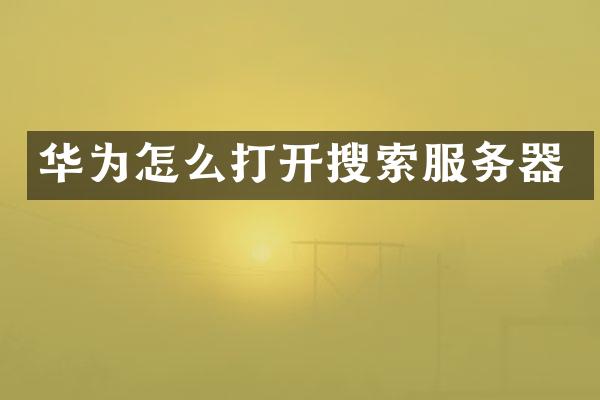 华为怎么打开搜索服务器