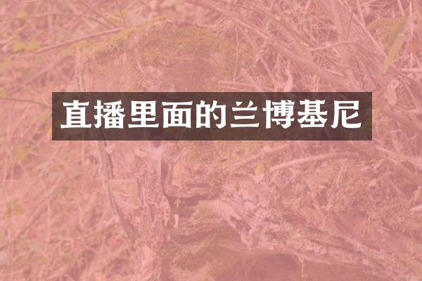 直播里面的兰博基尼