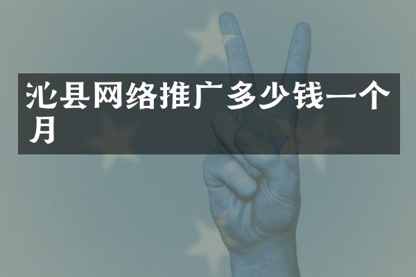 沁县网络推广多少钱一个月