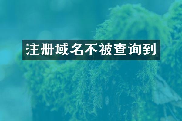 注册域名不被查询到