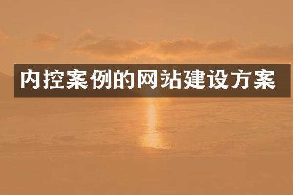 内控案例的网站建设方案