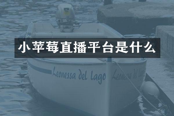 小苹莓直播平台是什么
