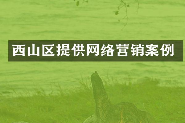 西山区提供网络营销案例