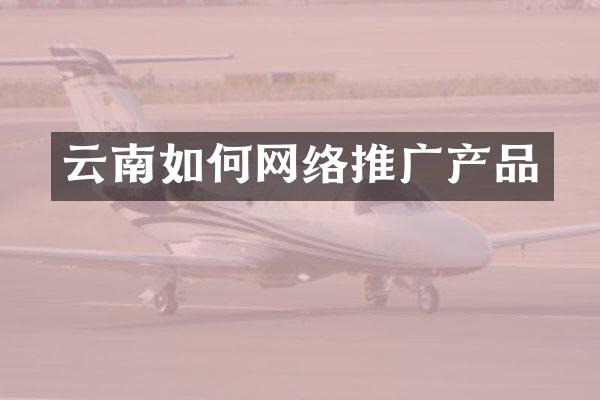 云南如何网络推广产品