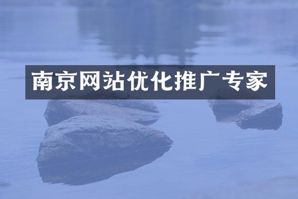 南京网站优化推广专家