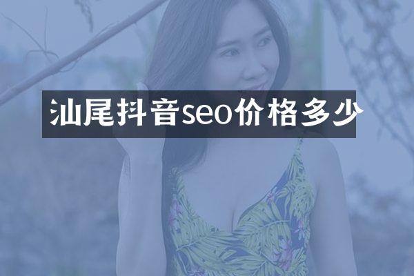 汕尾抖音seo价格多少