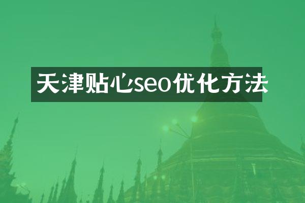 天津贴心seo优化方法