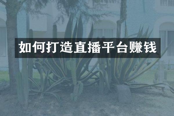如何打造直播平台赚钱