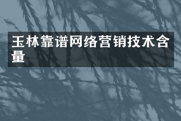 玉林靠谱网络营销技术含量