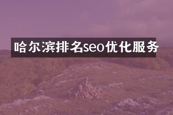 哈尔滨排名seo优化服务