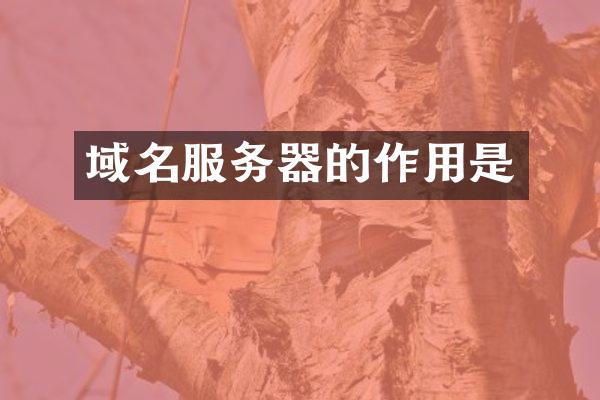域名服务器的作用是