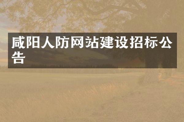 咸阳人防网站建设招标公告