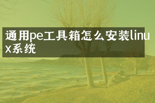 通用pe工具箱怎么安装linux系统