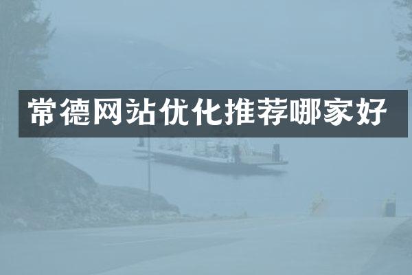 常德网站优化推荐哪家好
