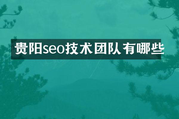 贵阳seo技术团队有哪些