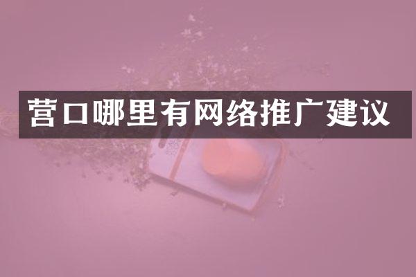 营口哪里有网络推广建议