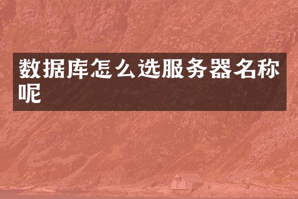 数据库怎么选服务器名称呢