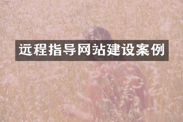 远程指导网站建设案例