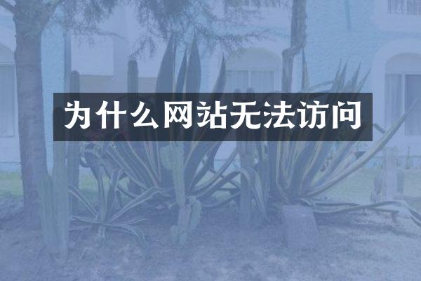 为什么网站无法访问