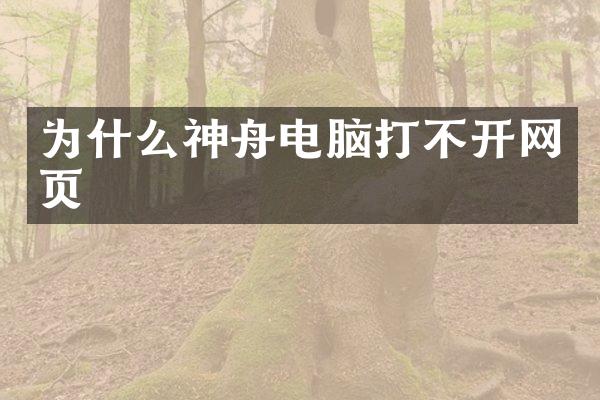 为什么神舟电脑打不开网页