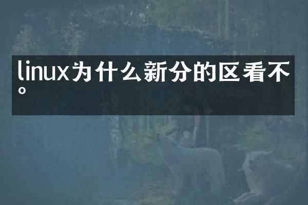 linux为什么新分的区看不到