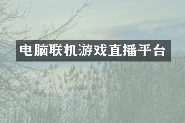 电脑联机游戏直播平台