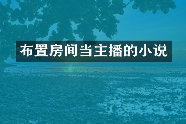 布置房间当主播的小说