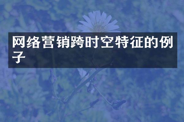 网络营销跨时空特征的例子