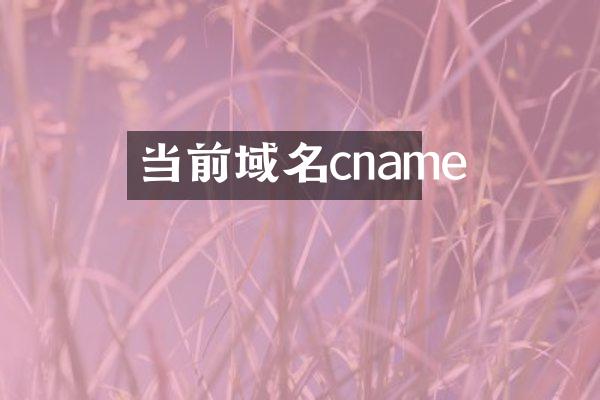 当前域名cname