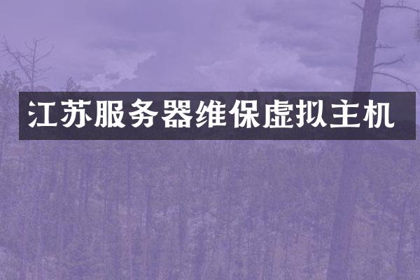 江苏服务器维保虚拟主机
