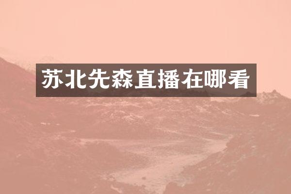 苏北先森直播在哪看