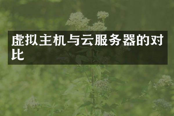 虚拟主机与云服务器的对比