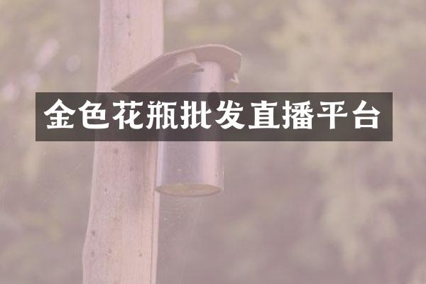 金色花瓶批发直播平台