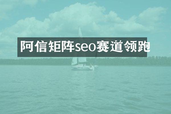阿信矩阵seo赛道领跑