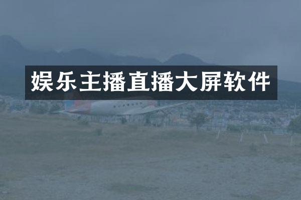 娱乐主播直播大屏软件