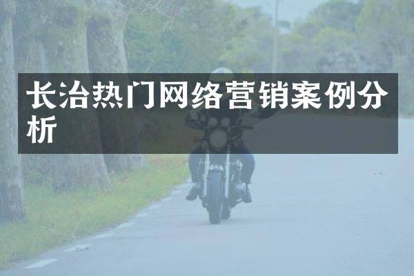 长治热门网络营销案例分析
