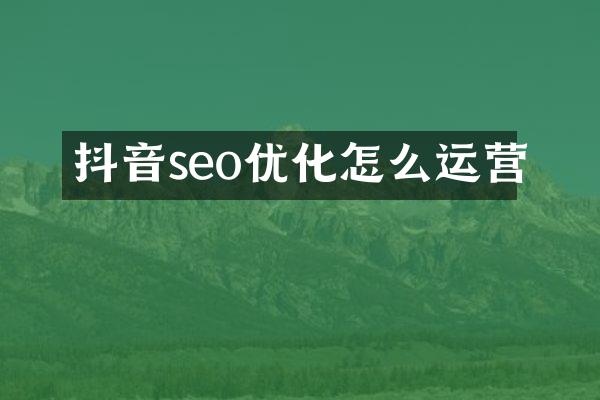 抖音seo优化怎么运营