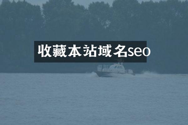 收藏本站域名seo