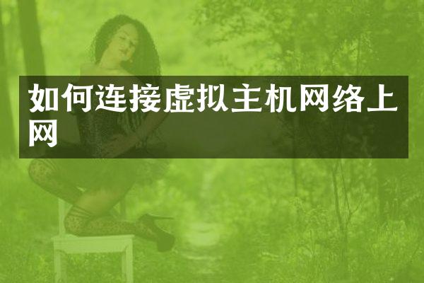 如何连接虚拟主机网络上网